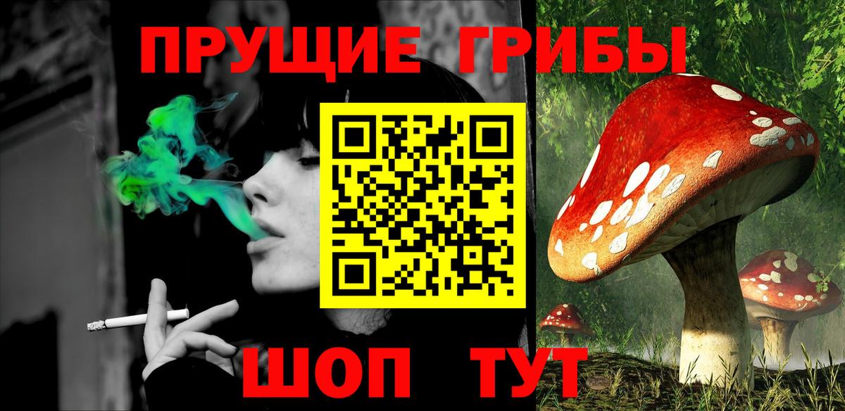 Псилоцибиновые грибы GOLDEN TEACHER Коркино