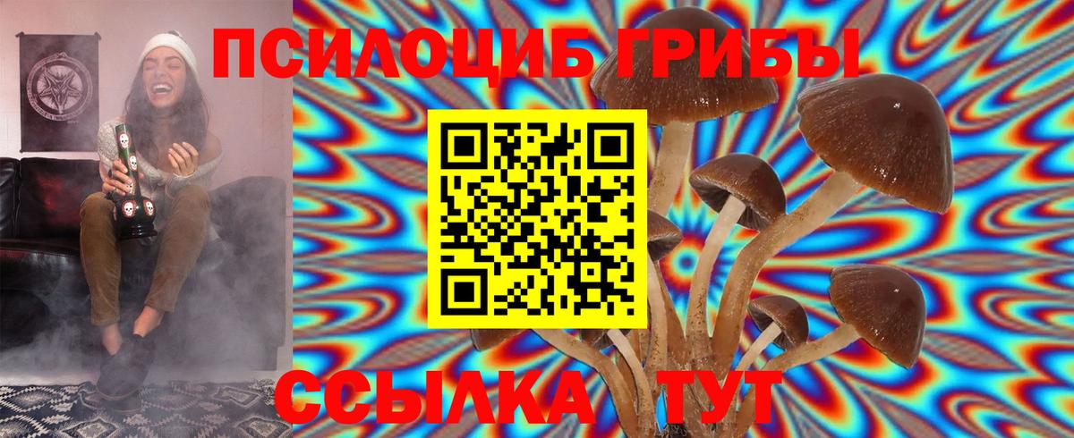 Псилоцибиновые грибы прущие грибы  Псилоцибиновые грибы MAGIC MUSHROOMS  Коркино  Вход с VPN 